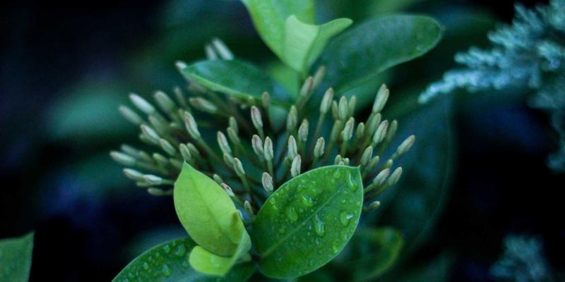 西安制造业工厂区大件重型设备快递物流选择指南：高效、安全、经济的同城配送解决方案