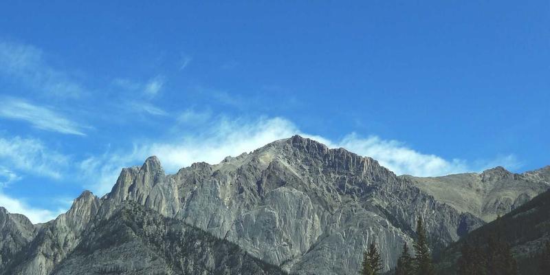 西安大型会展期间临时物流需求激增，如何保障高效配送？西安速步同城配送的专业解决方案