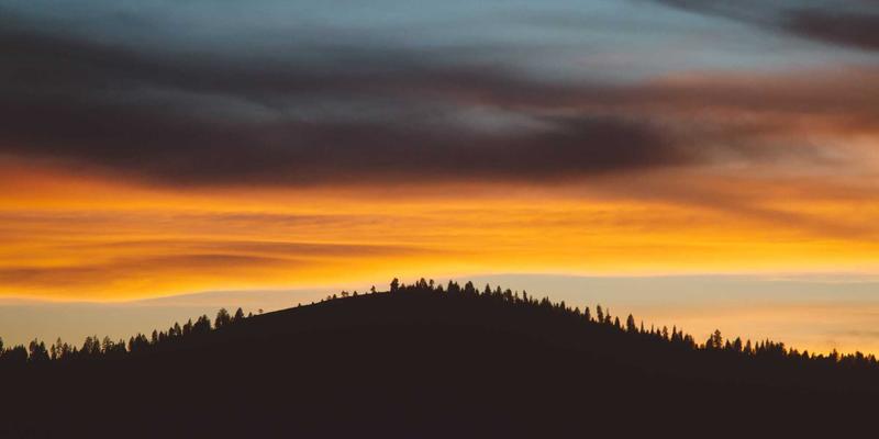 西安大型批发市场（康复路）商户必读：高效快递发货策略与物流公司选择指南（聚焦同城配送与西安速步）