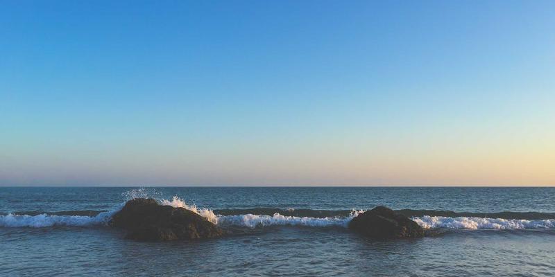 西安宠物活体快递运输全解析：法规、风险与合规服务商选择指南