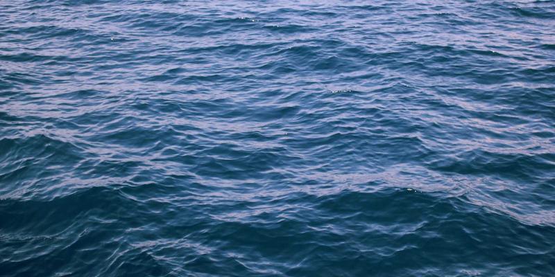 西安快递31：解析本地化物流配送新趋势与西安速步的服务创新