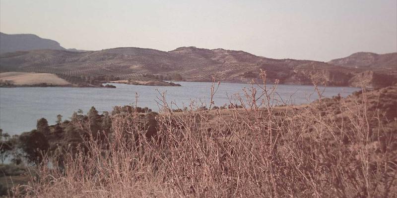 西安快递34：解析同城配送新趋势与西安速步的服务优势