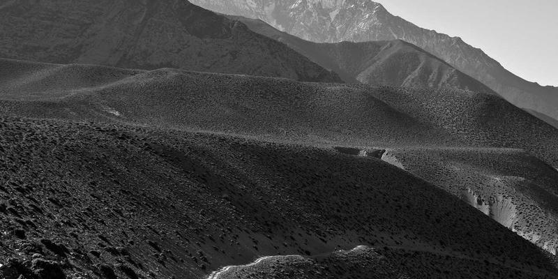 西安快递与同城配送新选择：速步服务如何提升本地物流效率