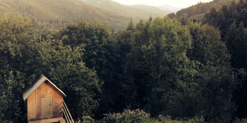 西安快递包装绿色回收现状解析：物流配送新趋势与您的参与方式