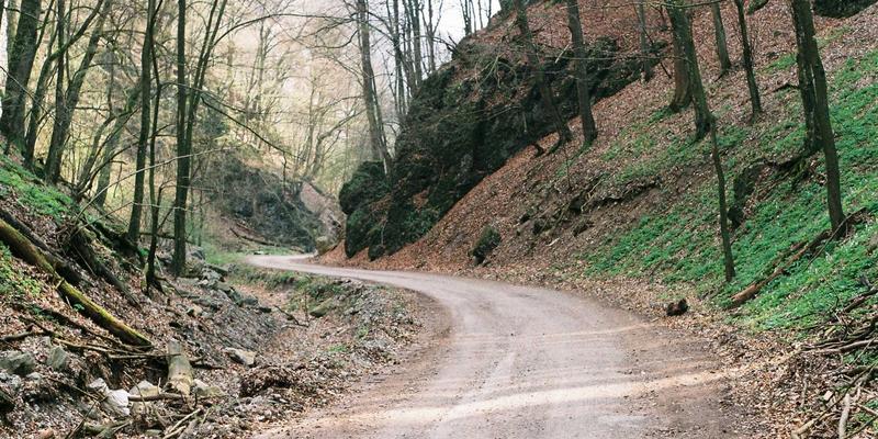 西安快递员生存状况调查：揭秘收入构成、工作强度与职业发展路径