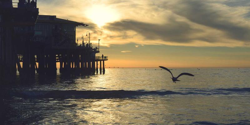 西安快递新趋势：同城配送崛起与智慧服务升级