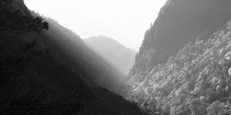 西安快递服务深度解析：从同城配送到全域物流的变革与机遇