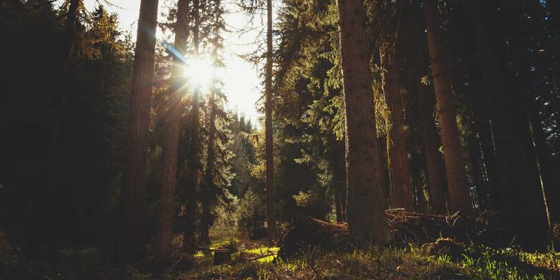 西安高校校园快递最后一公里解决方案：智能快递柜布局与物流配送优化分析